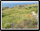 Отдых мыс Казантип: фотография природного заповедника. Отдых мыс Казантип: фотография природного заповедника.